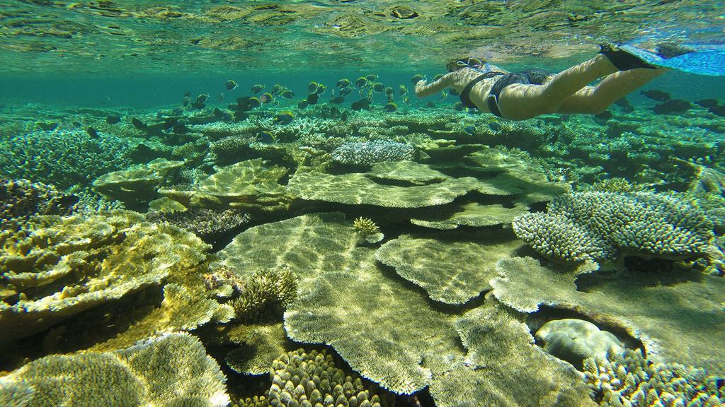 Natural Surf House Hostel Himmafushi Luaran gambar